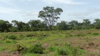 DSC00076.JPG